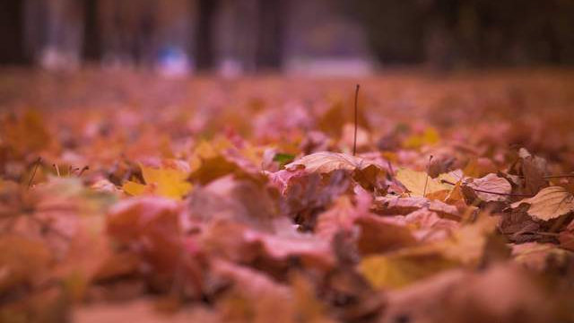 人的命，天注定！（不信不行）