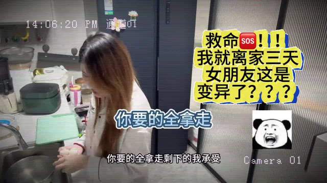 啊你们也有同款反差女友吗