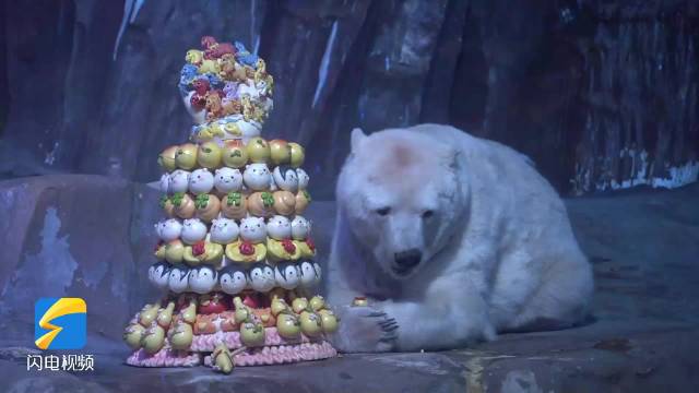 非遗花饽饽贺岁 水下“赛马”惊艳亮相 青岛景区新春活动年味浓