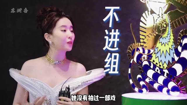 为何刘亦菲没戴珠宝热搜第一还是她？