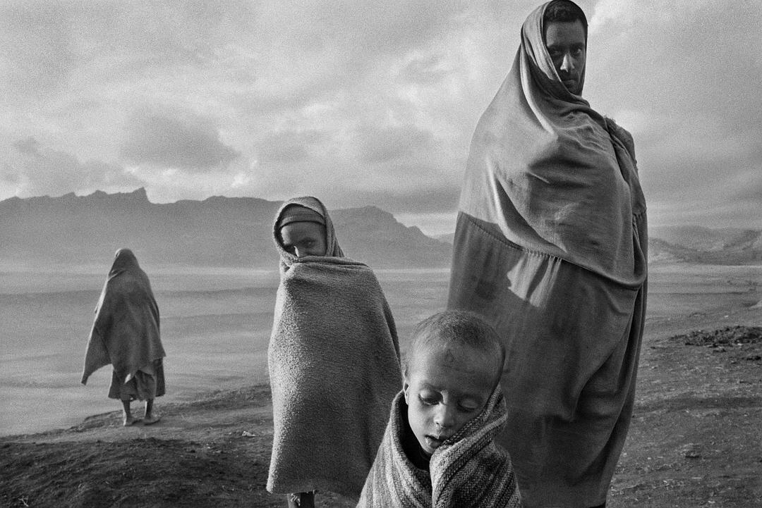 塞巴斯蒂昂·萨尔加多sebastio salgado