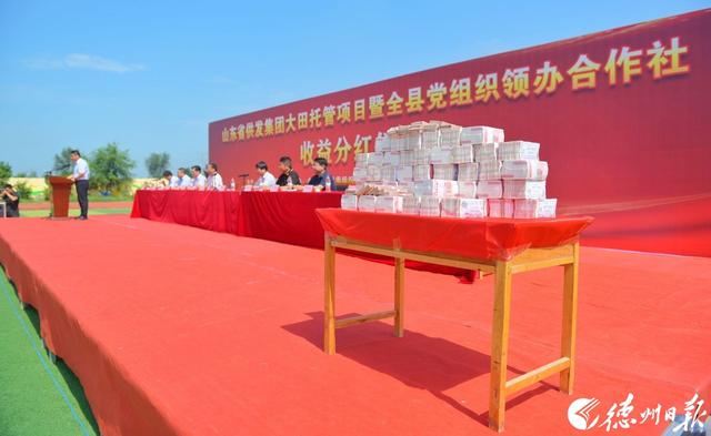 山东德州市供销合作社:土地托管管出农民致富钱景