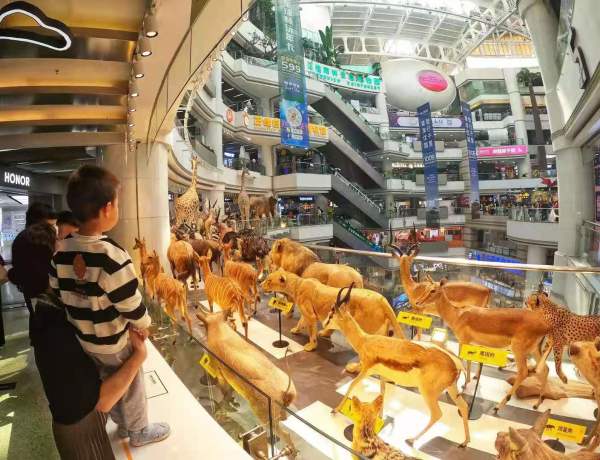 非洲动物在正佳广场“大迁徙”!休闲区蓝鸢梦想 - Www.slyday.coM 非洲动物在正佳广场“大迁徙”!休闲区蓝鸢梦想 - Www.slyday.coM