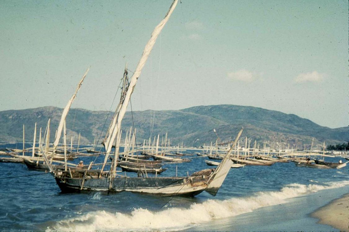 老照片 1956年的越南 美丽的风景
