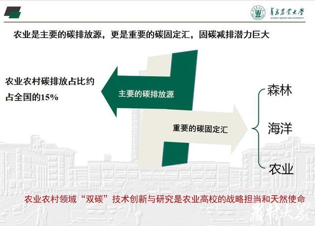 零碳乡村来了！全国高校首个涉农碳中和研究院在青岛农大成立