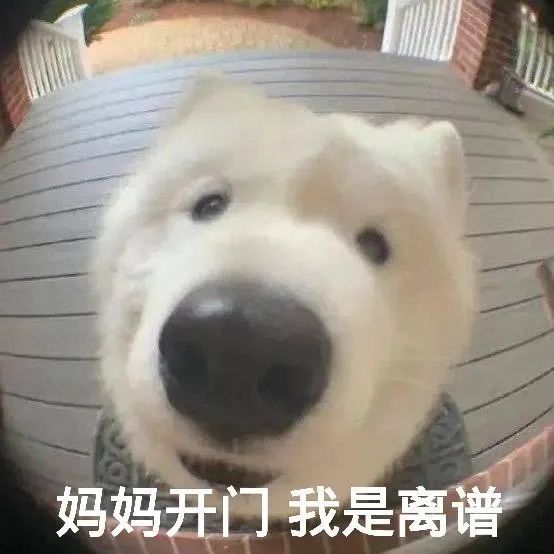 灰太狼的羊出轨反踩老实人？开年反转瓜来了！休闲区蓝鸢梦想 - Www.slyday.coM