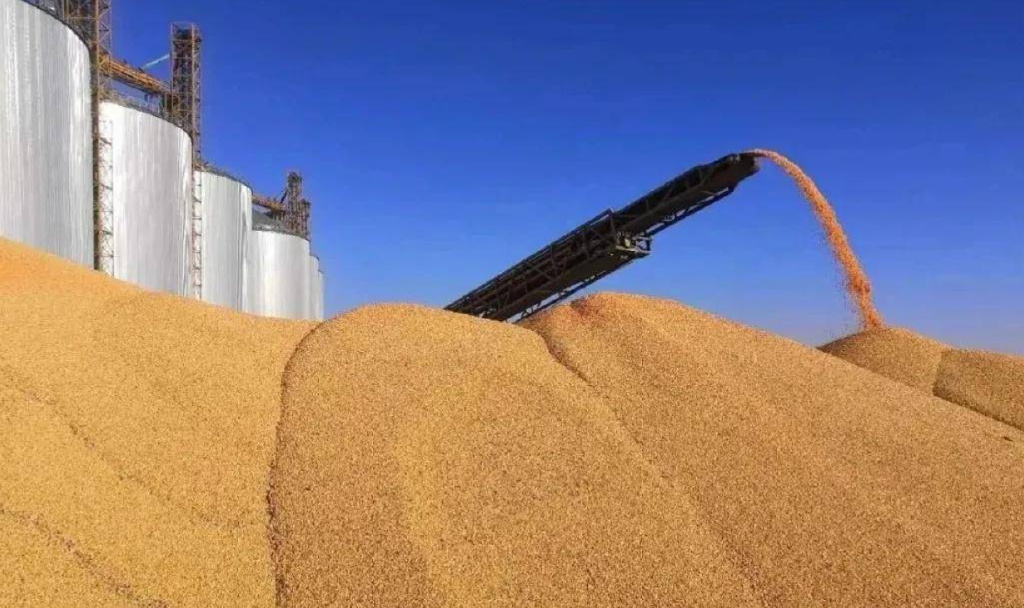 养猪方针_国家养猪方针_养猪补助_养猪补助方针_方针法规_猪e网