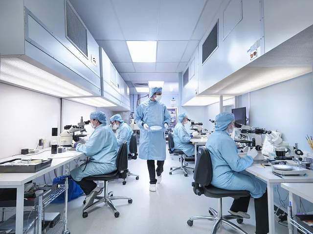 百济神州汪来:创新药出海,要闯出一条没人走过的路休闲区蓝鸢梦想 - Www.slyday.coM 百济神州汪来:创新药出海,要闯出一条没人走过的路休闲区蓝鸢梦想 - Www.slyday.coM