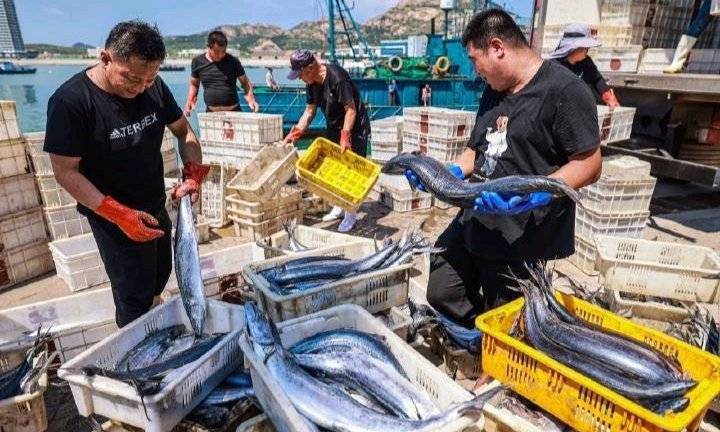 滿倉肥魚｜在浪花裏的價格博弈