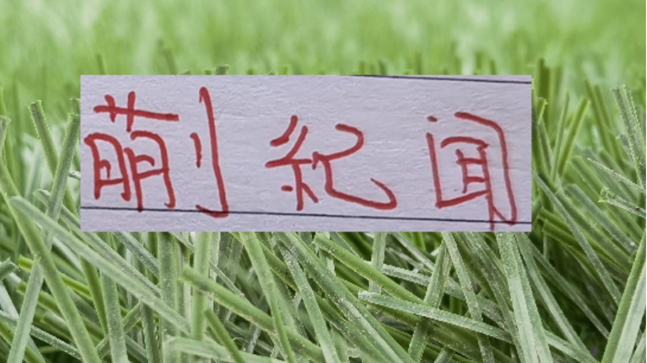 蒯纪闻最可惜没跟着奥斯卡踢两年 但申花小将有吴曦带