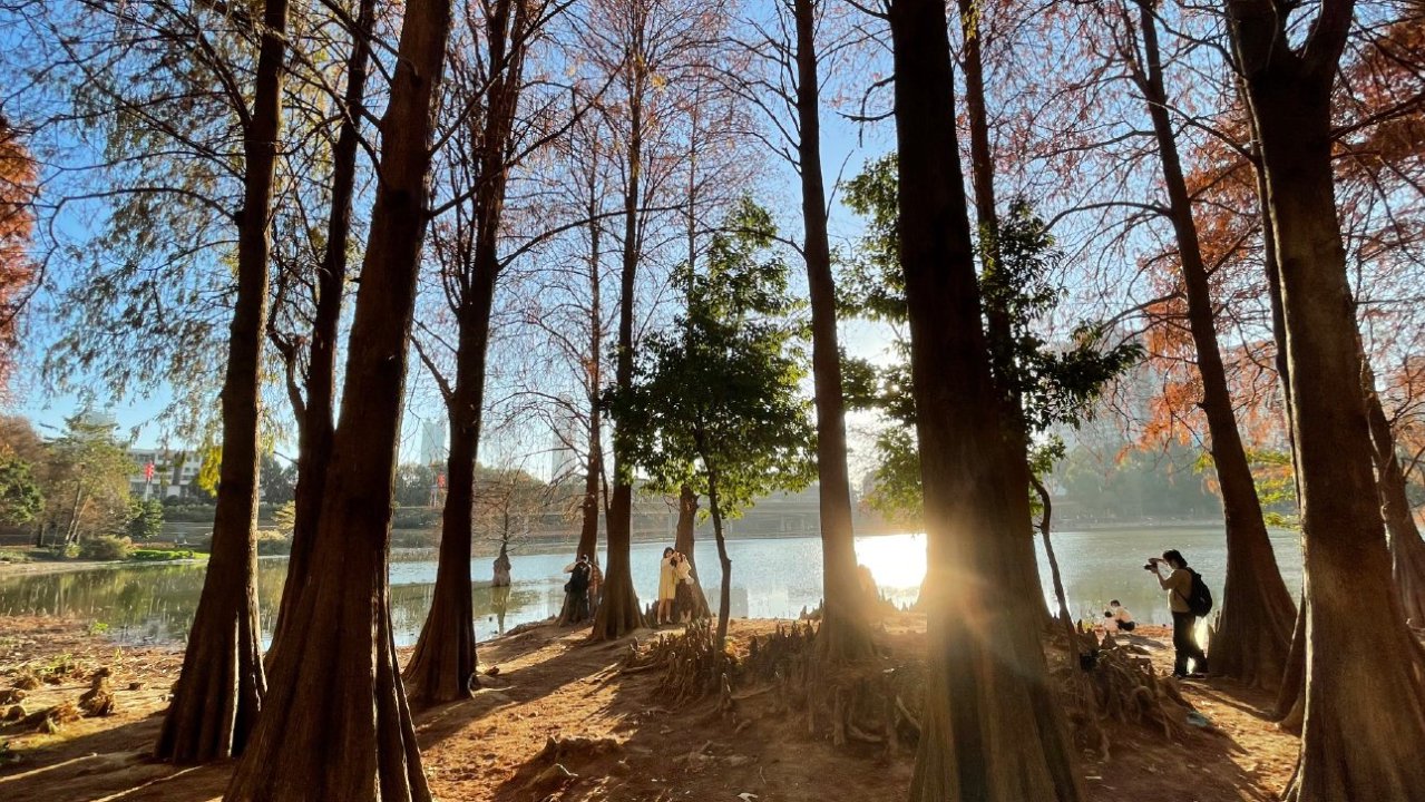 佑驾创新(02431)域控制器再获两款车型定点 基于地平线征程6M打造