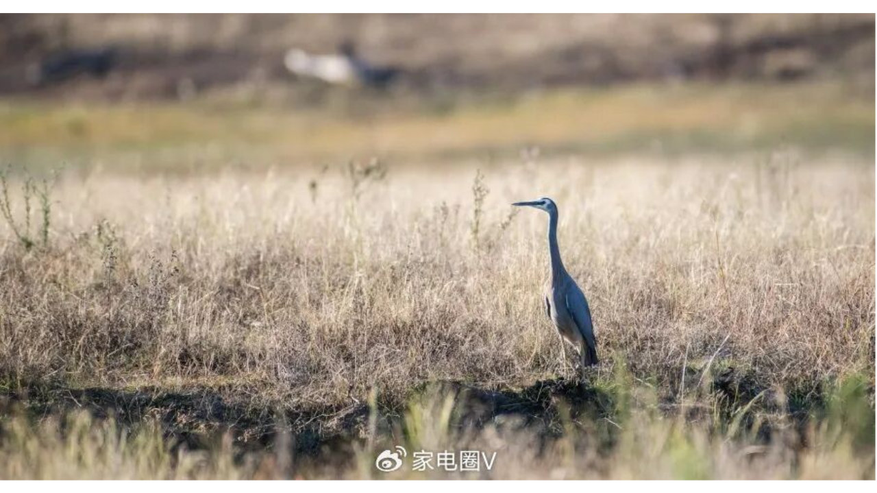 今年空调行业正上演涨价“无间道”