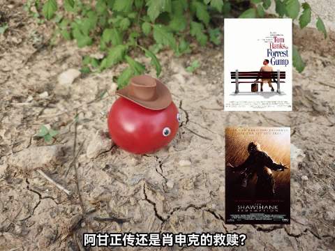 阿甘正传与肖申克的救赎经典电影推荐