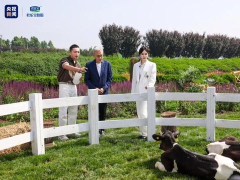 中国好奶粉这样炼成 央视新闻携手杨幂探访君乐宝