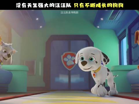 毛毛！我们都相信你！