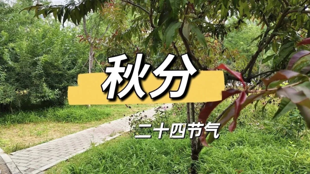 9月23号秋分,无论贫富“吃4样,做1事”润燥润肺养身体,安稳度秋 9月23号秋分,无论贫富“吃4样,做1事”润燥润肺养身体,安稳度秋