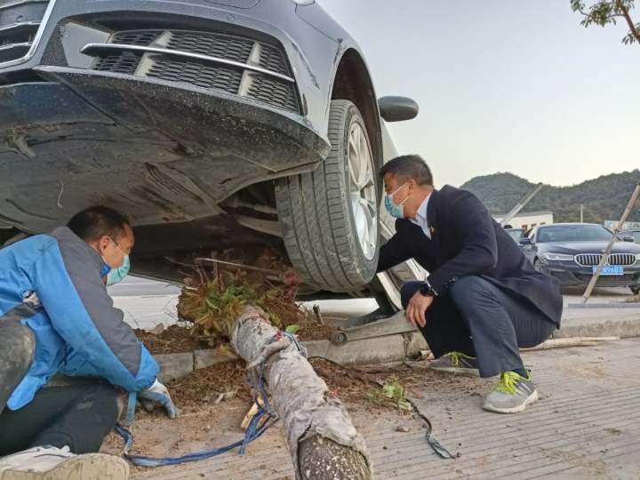 见丈夫辛苦,妻子主动提出帮忙开车,不料错把油门当刹车一头撞上服务区的大树休闲区蓝鸢梦想 - Www.slyday.coM 见丈夫辛苦,妻子主动提出帮忙开车,不料错把油门当刹车一头撞上服务区的大树休闲区蓝鸢梦想 - Www.slyday.coM