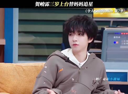 贺峻霖三岁上台替妈妈追星