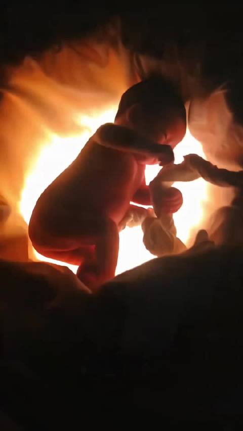 原来宝宝在妈妈肚子里是长这个样的，自己喝羊水，玩脐带，被包裹的安全感十足