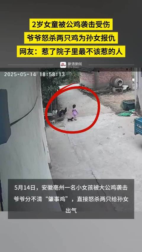 爷爷怒杀两只鸡为孙女报仇