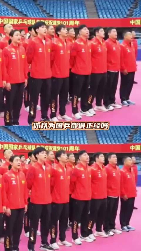 国乒队人均都是喜剧人来的吧
