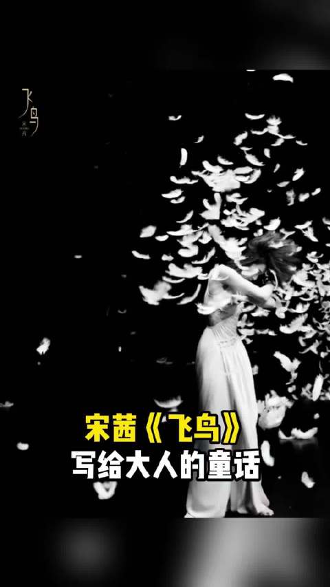 这首歌听懂是经历，不懂是幸运