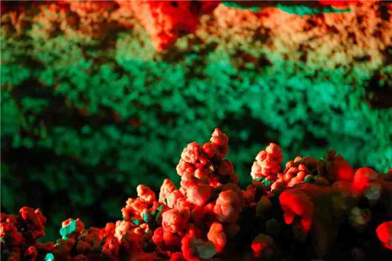 降温天气下的小温暖~来淄博这些地方开启一场奇妙之旅!休闲区蓝鸢梦想 - Www.slyday.coM 降温天气下的小温暖~来淄博这些地方开启一场奇妙之旅!休闲区蓝鸢梦想 - Www.slyday.coM