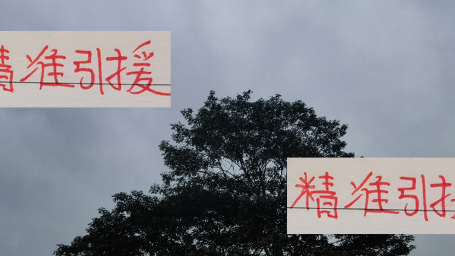 海港这两年找外援真是精准！今年签莱昂纳多也是大赚特赚