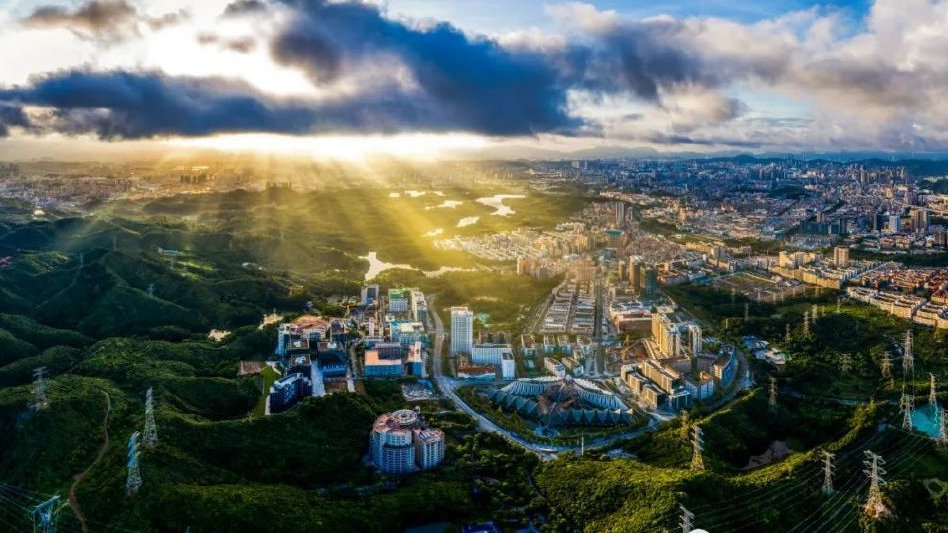 最新状况揭秘：深圳龙华巷子里的爱情故事温情细节揭秘