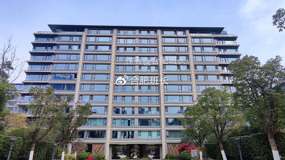 合肥“狂热追求大户型”的市场,还能坚持多久?|大户型|购买力|合肥|选房|买房_新浪新闻