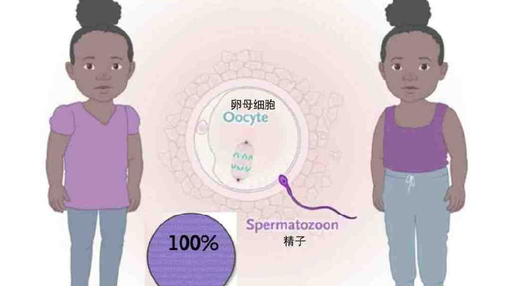 同母异父的兄弟可以继承母亲的财产吗?