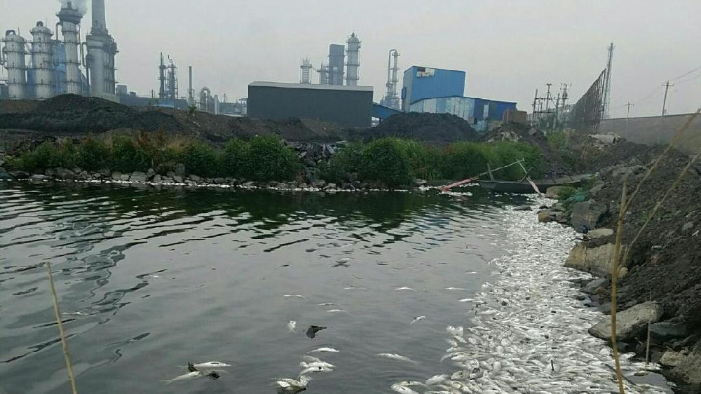 唐山一工厂排污，下游鱼塘鱼类大批死亡，养殖户起诉立案两年未开庭