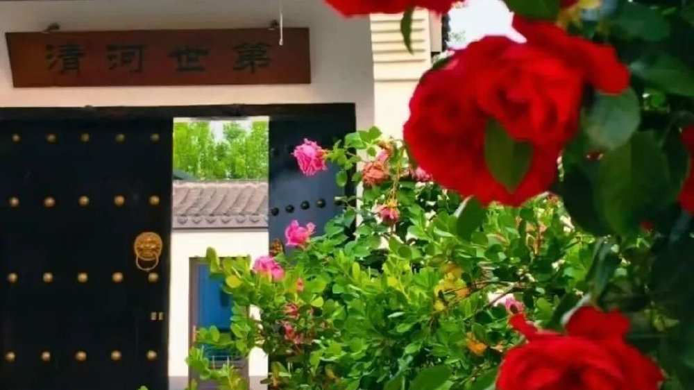 蜗居记 | 作者 张全刚