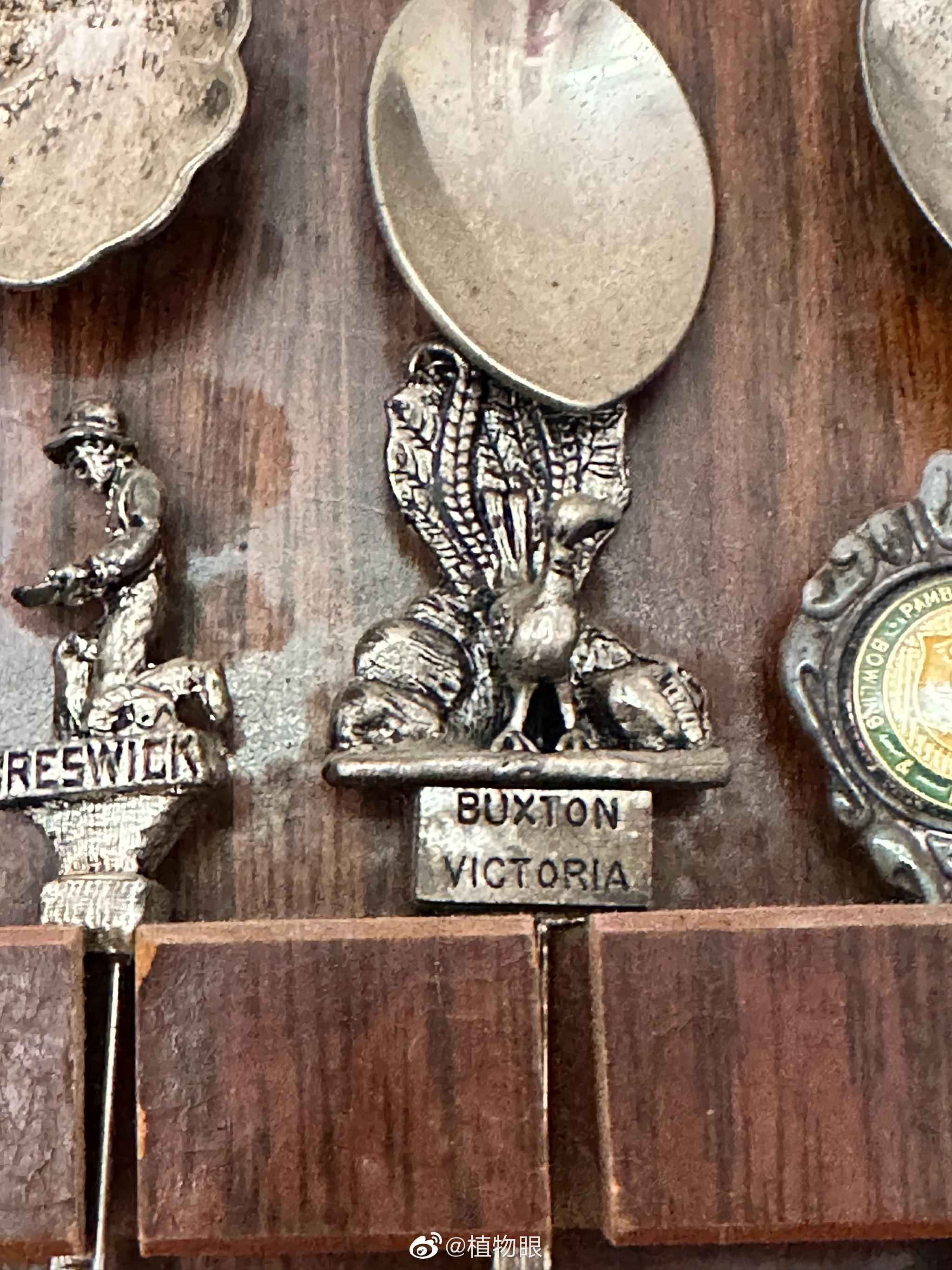 澳洲比较有意思的旅游纪念品，银勺，每把都有特定的主题