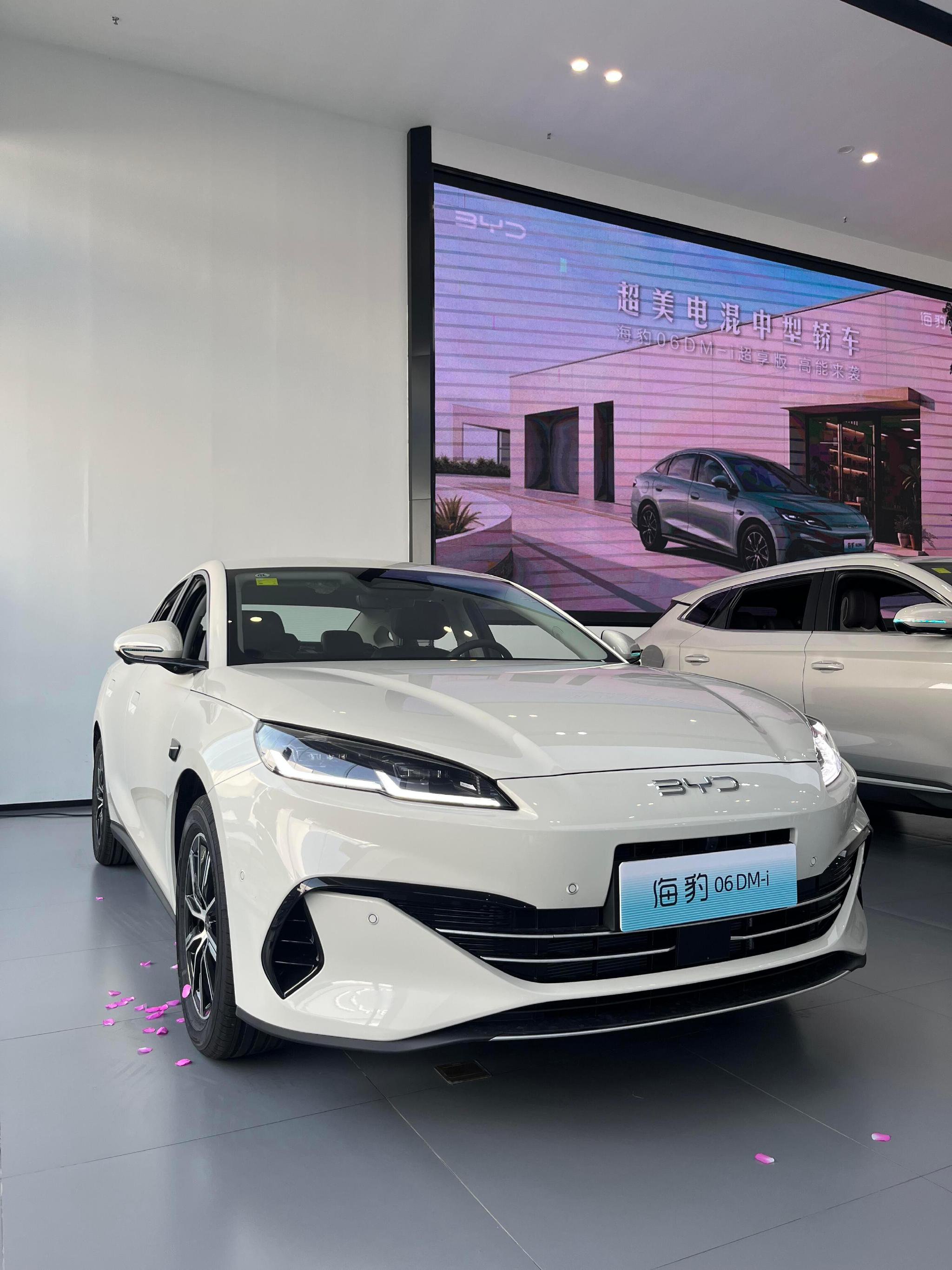 后排腿部空间比05更宽裕，座椅够软，亏电油耗保持超低水平，家用很实在