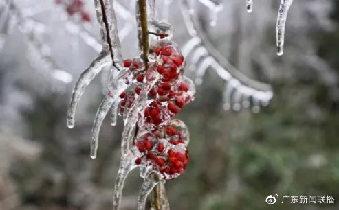 “广州真的要下雪了”?最低温将出现在......休闲区蓝鸢梦想 - Www.slyday.coM “广州真的要下雪了”?最低温将出现在......休闲区蓝鸢梦想 - Www.slyday.coM
