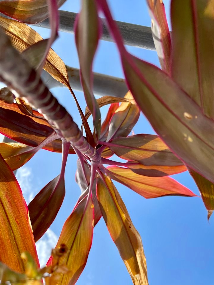 一万块钱,有人买iPhone12ProMax,我却选了 iPhone12mini+iPadAir4休闲区蓝鸢梦想 - Www.slyday.coM 一万块钱,有人买iPhone12ProMax,我却选了 iPhone12mini+iPadAir4休闲区蓝鸢梦想 - Www.slyday.coM