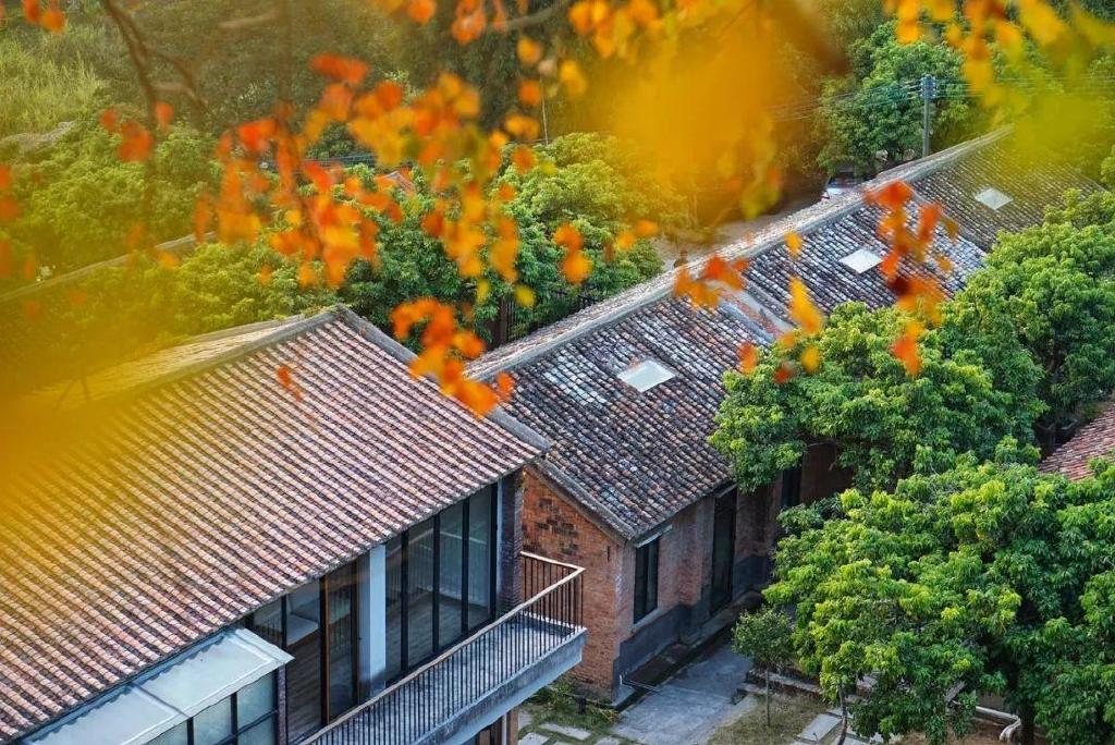 李子柒式田园生活！住广州从化野趣手作民宿，溪边玩水丨菁木山舍