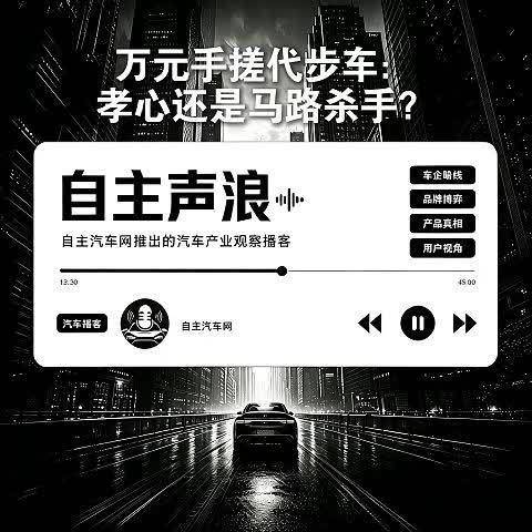 万元手搓代步车：孝心还是马路杀手？