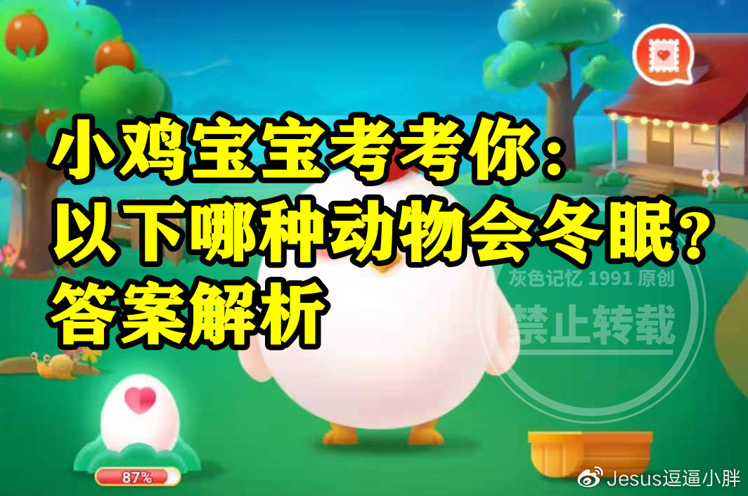 蚂蚁庄园哪种动物会冬眠答案 哪种动物会冬眠是大熊猫还是北极熊