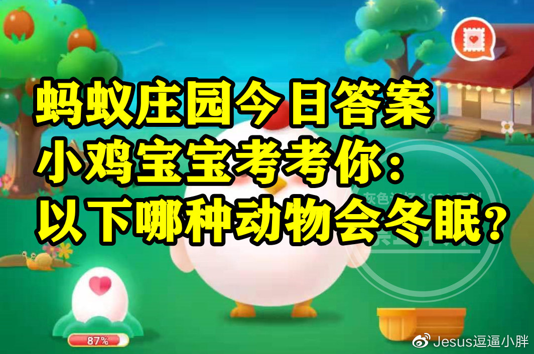 蚂蚁庄园哪种动物会冬眠答案 哪种动物会冬眠是大熊猫还是北极熊