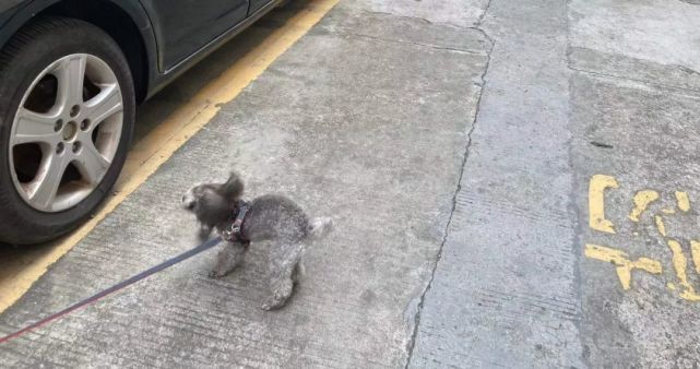 疫情之下停摆的城市:家庭生计、房贷,深圳人的搞钱焦虑被点燃休闲区蓝鸢梦想 - Www.slyday.coM 疫情之下停摆的城市:家庭生计、房贷,深圳人的搞钱焦虑被点燃休闲区蓝鸢梦想 - Www.slyday.coM