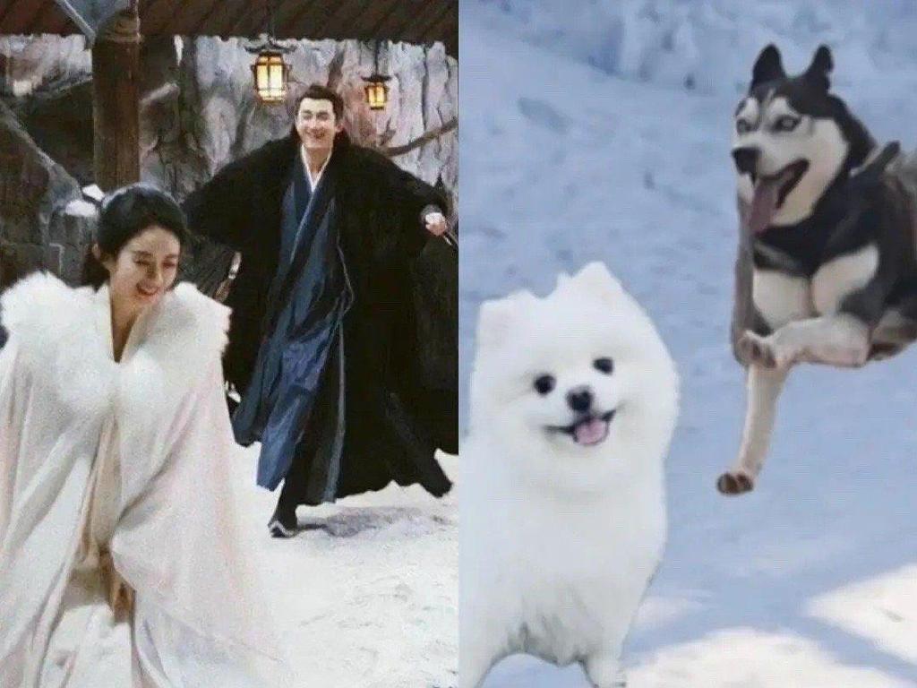 与凤行爆笑花絮，林更新追赵丽颖如二哈追博美，戏里戏外两副面孔