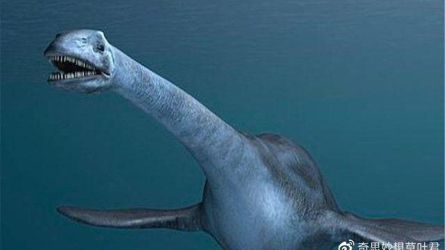 神农架野人之谜 长白山天池水怪传闻