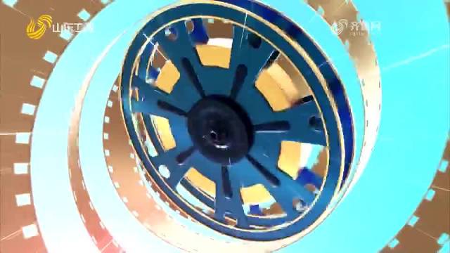 《警察荣誉》精彩剧情：李大为、杨树卧底男招待