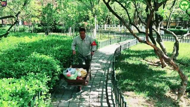 果然视频|动物视界（484）折柳寻春——长臂猿篇