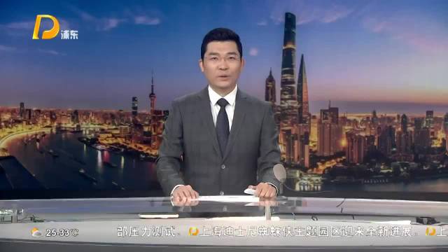 20对新人“相约浦东”在奥运冠军见证下喜结良缘