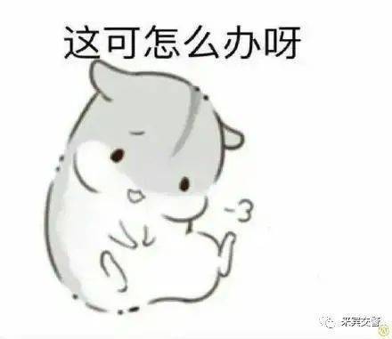 春节守岁,来宾交警给您发红包啦!休闲区蓝鸢梦想 - Www.slyday.coM 春节守岁,来宾交警给您发红包啦!休闲区蓝鸢梦想 - Www.slyday.coM