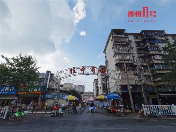 如果你记得,柳州的他们就永远活着|告别2021休闲区蓝鸢梦想 - Www.slyday.coM 如果你记得,柳州的他们就永远活着|告别2021休闲区蓝鸢梦想 - Www.slyday.coM