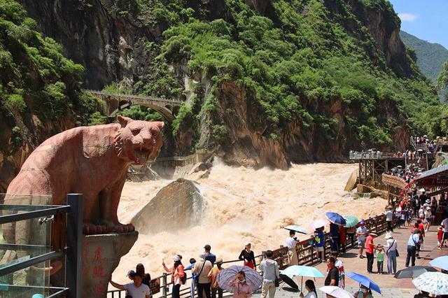 金沙江进入丰水期 香格里拉虎跳峡又现壮观景致